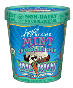 Cool Scoops - Mint Chocolate Chip Non-dairy Ice Cream