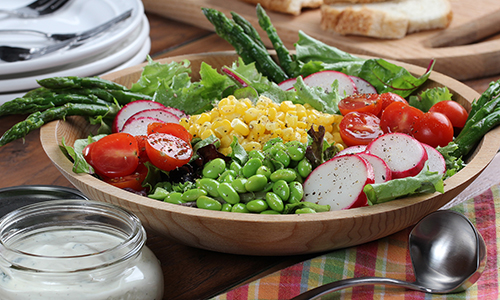 Easy Home Meals logo