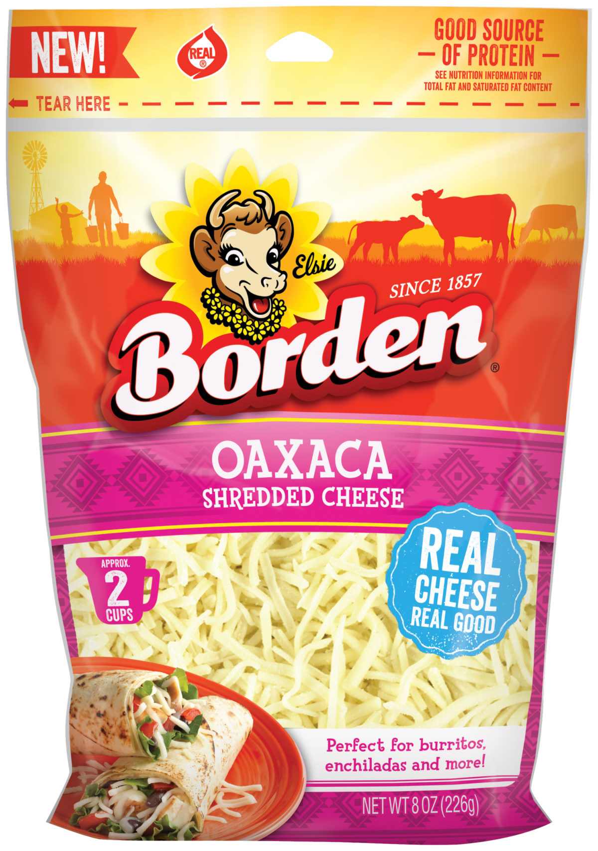 Queso Fundido Borden® Cheese