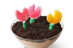 Flower Pot Cups