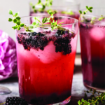 Floridas Natural Blackberry Tequila Lemon Cooler