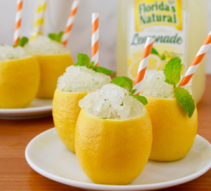 Floridas Natural Lemon Granita