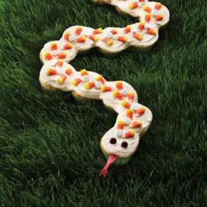 Land O Lakes Slithering Cupcake Snake