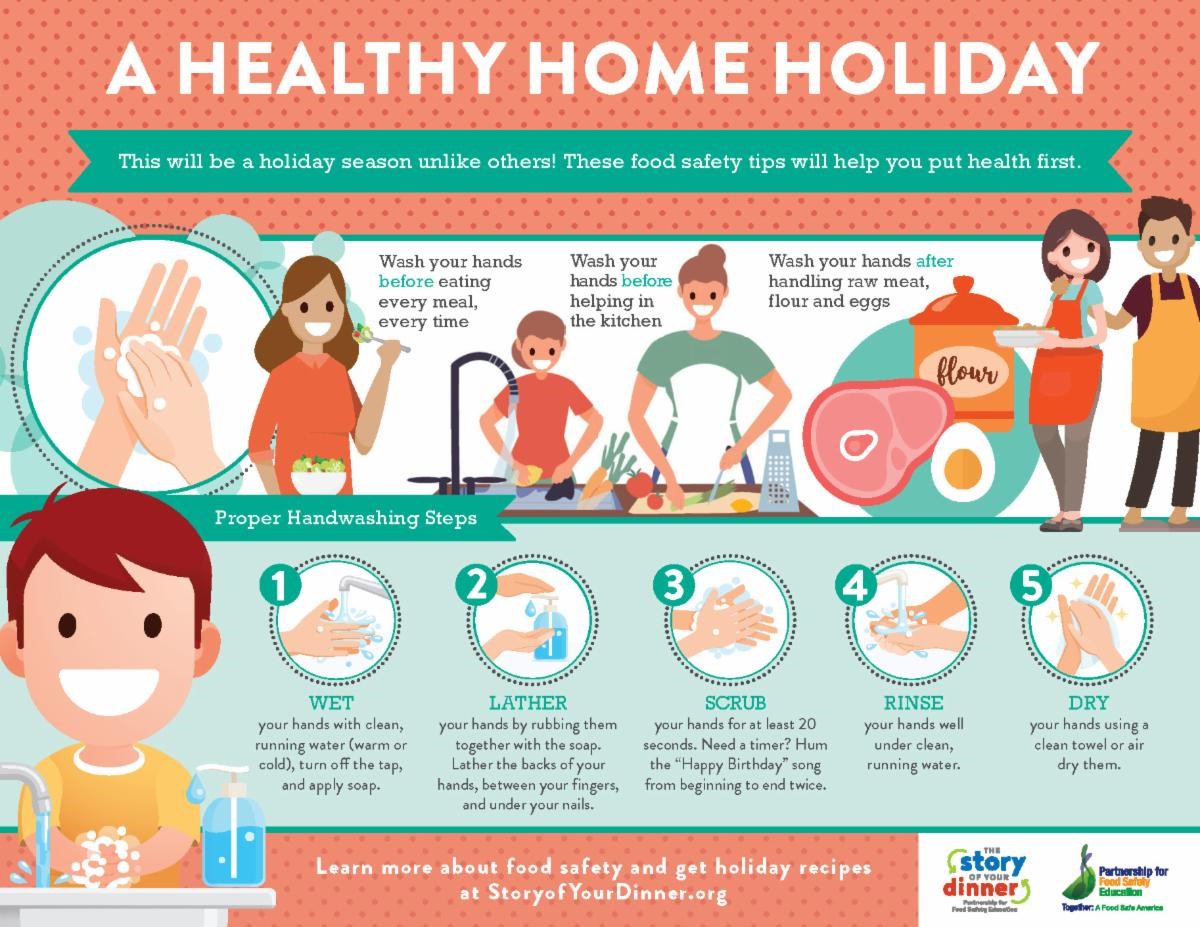 Healthy Holiday Hand Washing Infographic