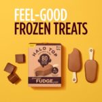 Halo Top Fudge Bar