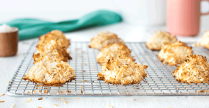 Silk Coconut Macaroons