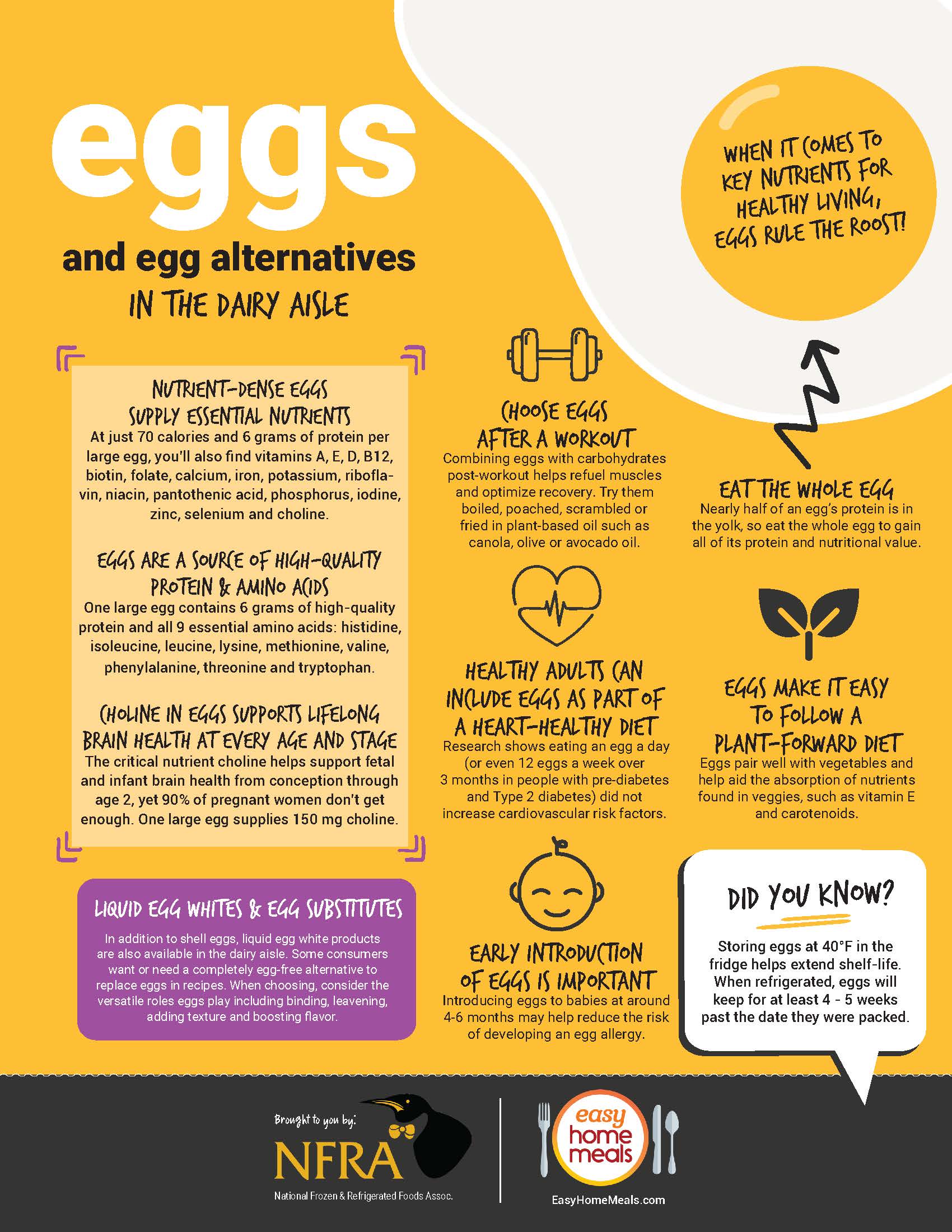 Eggs & Egg Alternatives in the Dairy Aisle Infographic Easy Home Meals