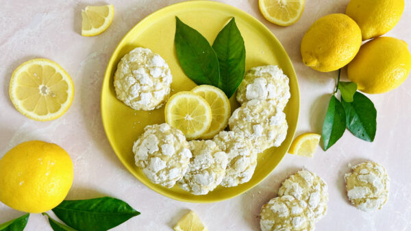 Lemonade Stand Cookies