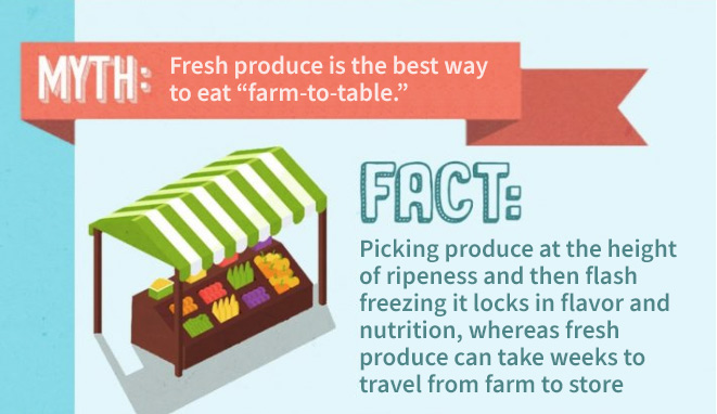 Farm to table infographic